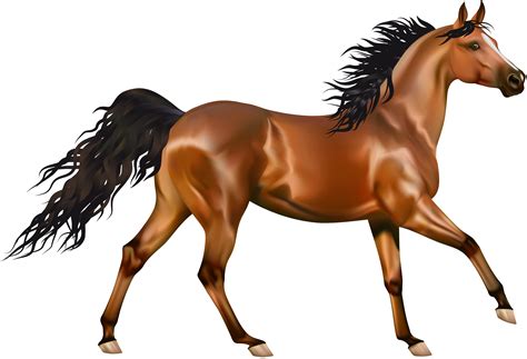 horse clip art|realistic horse clip art.